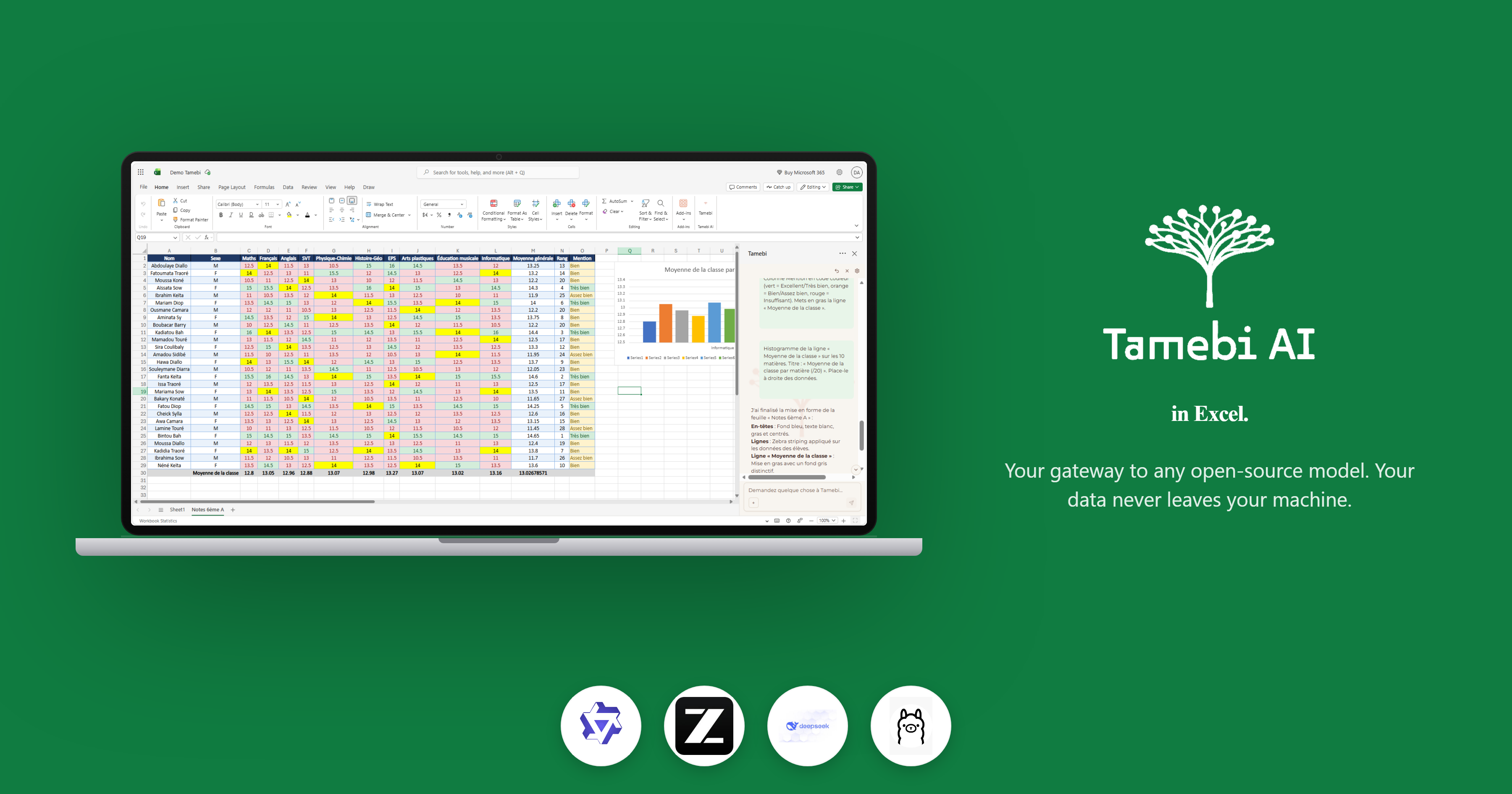 Découvrez Tamebi in Excel : Votre Assistant IA dans vos Feuilles de Calcul